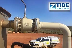 Válvula de flotador para un control confiable del nivel del tanque de agua